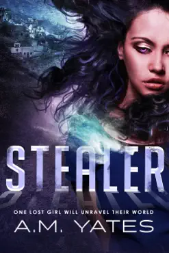 stealer book cover image