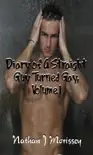 Diary of A Straight Guy Turned Gay, Volume 1 synopsis, comments