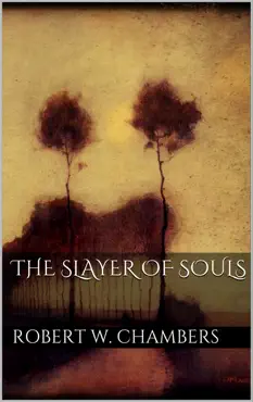 the slayer of souls book cover image