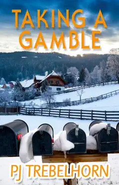 taking a gamble book cover image