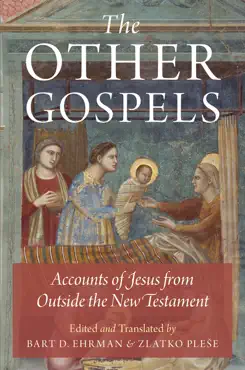 the other gospels book cover image