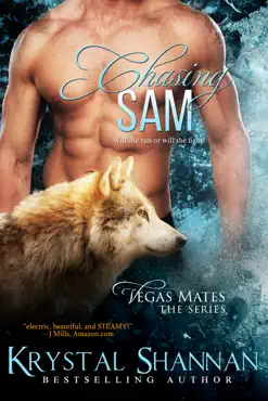 chasing sam book cover image