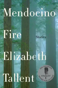 mendocino fire book cover image
