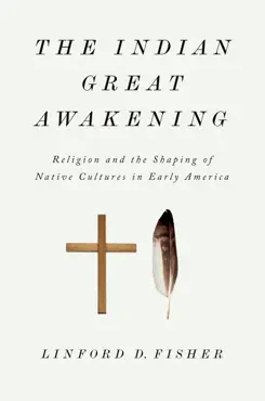 the indian great awakening book cover image