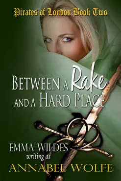 between a rake and a hard place book cover image