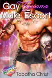 Gay Tijuana Male Escort synopsis, comments