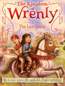 the lost stone book cover image