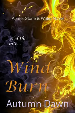 wind burn book cover image