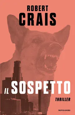 il sospetto book cover image