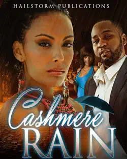 cashmere rain book cover image