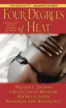 Four Degrees of Heat synopsis, comments