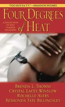 four degrees of heat book cover image