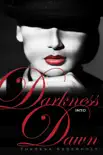 Darkness into Dawn synopsis, comments