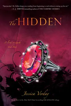 the hidden book cover image