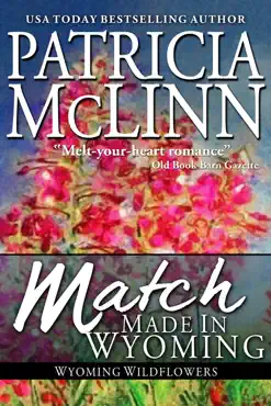 match made in wyoming book cover image