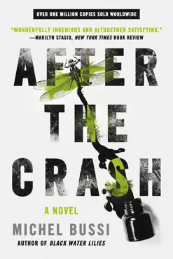 after the crash book cover image