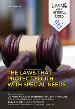 the laws that protect youth with special needs imagen de la portada del libro