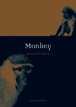 monkey book cover image