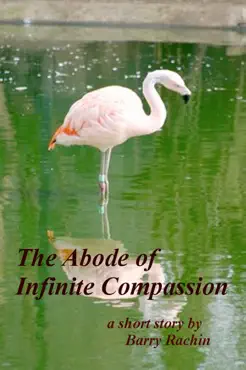the abode of infinite compassion book cover image