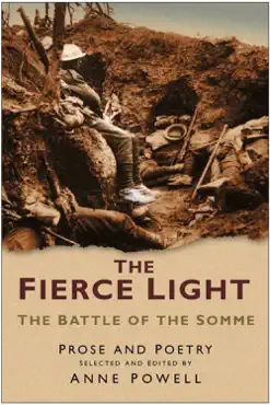the fierce light book cover image