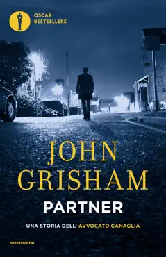 partner book cover image