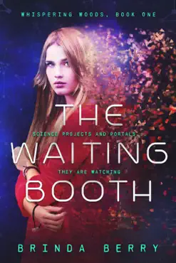 the waiting booth book cover image