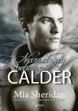 calder. narodziny odwagi book cover image