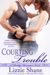 Courting Trouble synopsis, comments