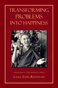 transforming problems into happiness book cover image