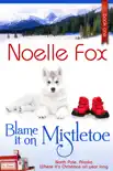 Blame It on Mistletoe synopsis, comments