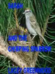 Sarah and the Chirping Sparrow synopsis, comments