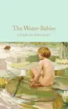 The Water-Babies synopsis, comments