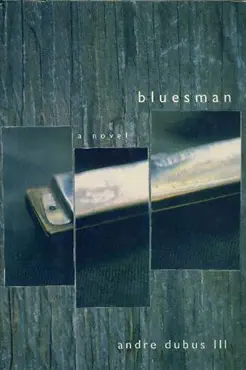bluesman book cover image