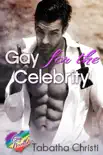 Gay for the Celebrity synopsis, comments