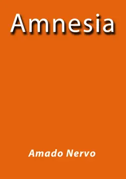 amnesia book cover image