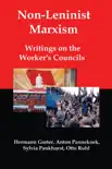 Non-Leninist Marxism: Writings on the Workers Councils sinopsis y comentarios