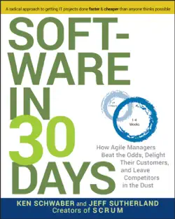 software in 30 days book cover image