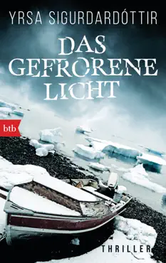 das gefrorene licht book cover image