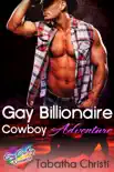 Gay Billionaire Cowboy Adventure synopsis, comments
