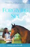 Forgiving Sky synopsis, comments