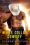 White Collar Cowboy synopsis, comments