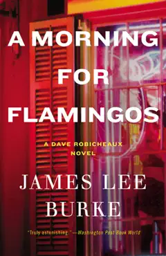 a morning for flamingos book cover image