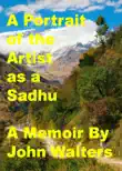 A Portrait of the Artist as a Sadhu synopsis, comments