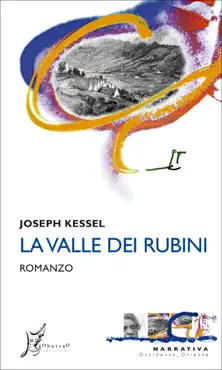la valle dei rubini book cover image