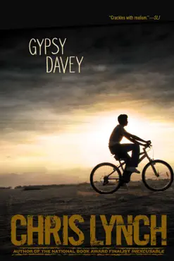 gypsy davey book cover image
