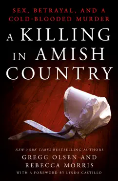 a killing in amish country book cover image