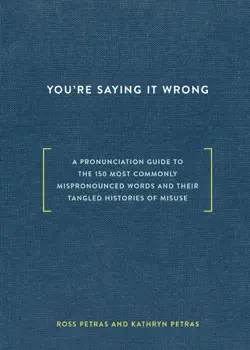 you're saying it wrong book cover image
