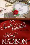 Secret Valentine synopsis, comments