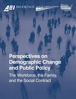 perspectives on demographic change and public policy book cover image