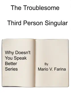 the third person singular book cover image